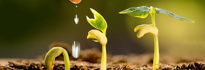 World Environment Day