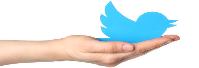 Driving a Twitter Culture in School