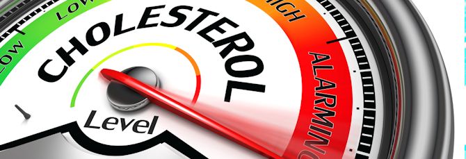 National Cholesterol Month 2015
