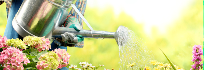5 Reasons to Take Up Gardening
