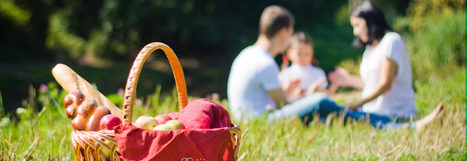 National Picnic Week (11th - 19th June)
