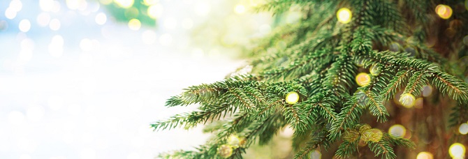 The Magic of Christmas in Kent - Things to Do in 2016
