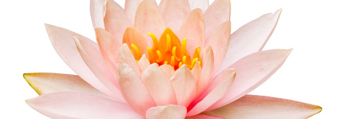 Week 3: Mindfulness, Skills for Life Training