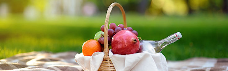 Top 10 Picnic Hotspots in Kent