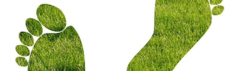 8 Ways to Reduce your Carbon Footprint