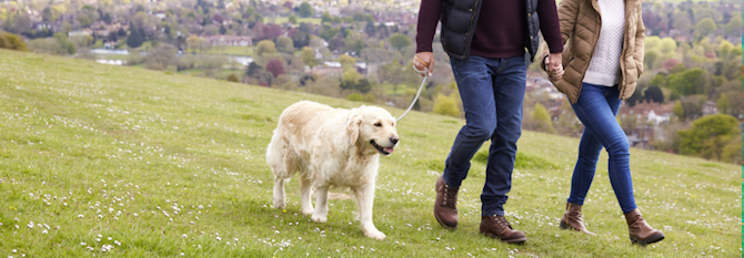 5 Reasons Why You Should Walk More