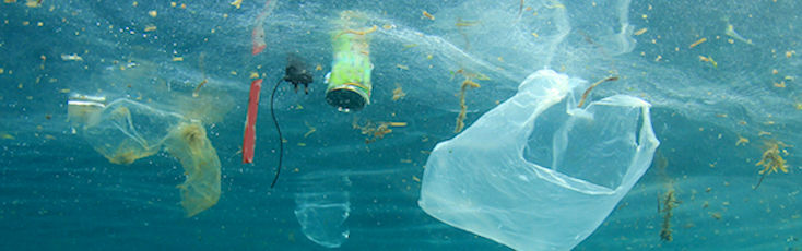 10 Tips to Help Reduce your Plastic Usage