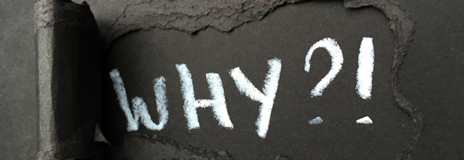 The Power of Why