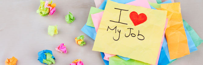 What is the Perfect Job?