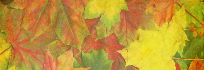 3 Creative Autumn Classroom Activities