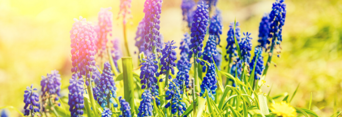 How Teachers Can Make The Most of Summer