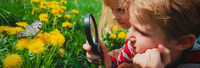 Top 5 Benefits of Outdoor Learning