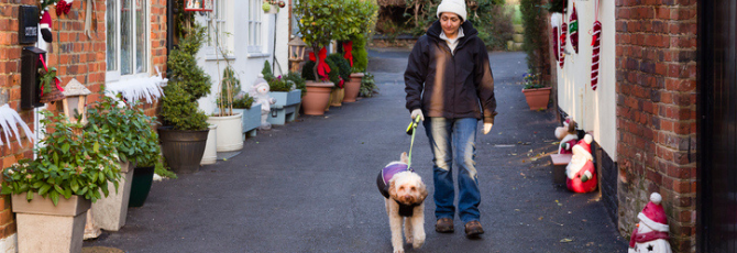 Things To Do in Kent Post-Christmas