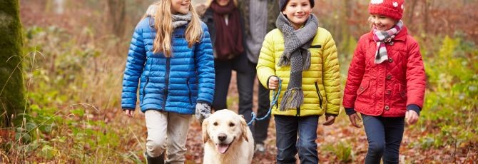 Kent-Teach’s Top Dog Walks in Kent