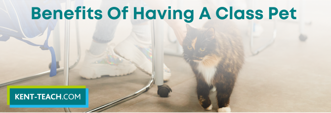 The Benefits Of Having A Class Pet