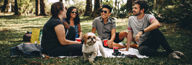12 Perfect Picnic Spots in Kent