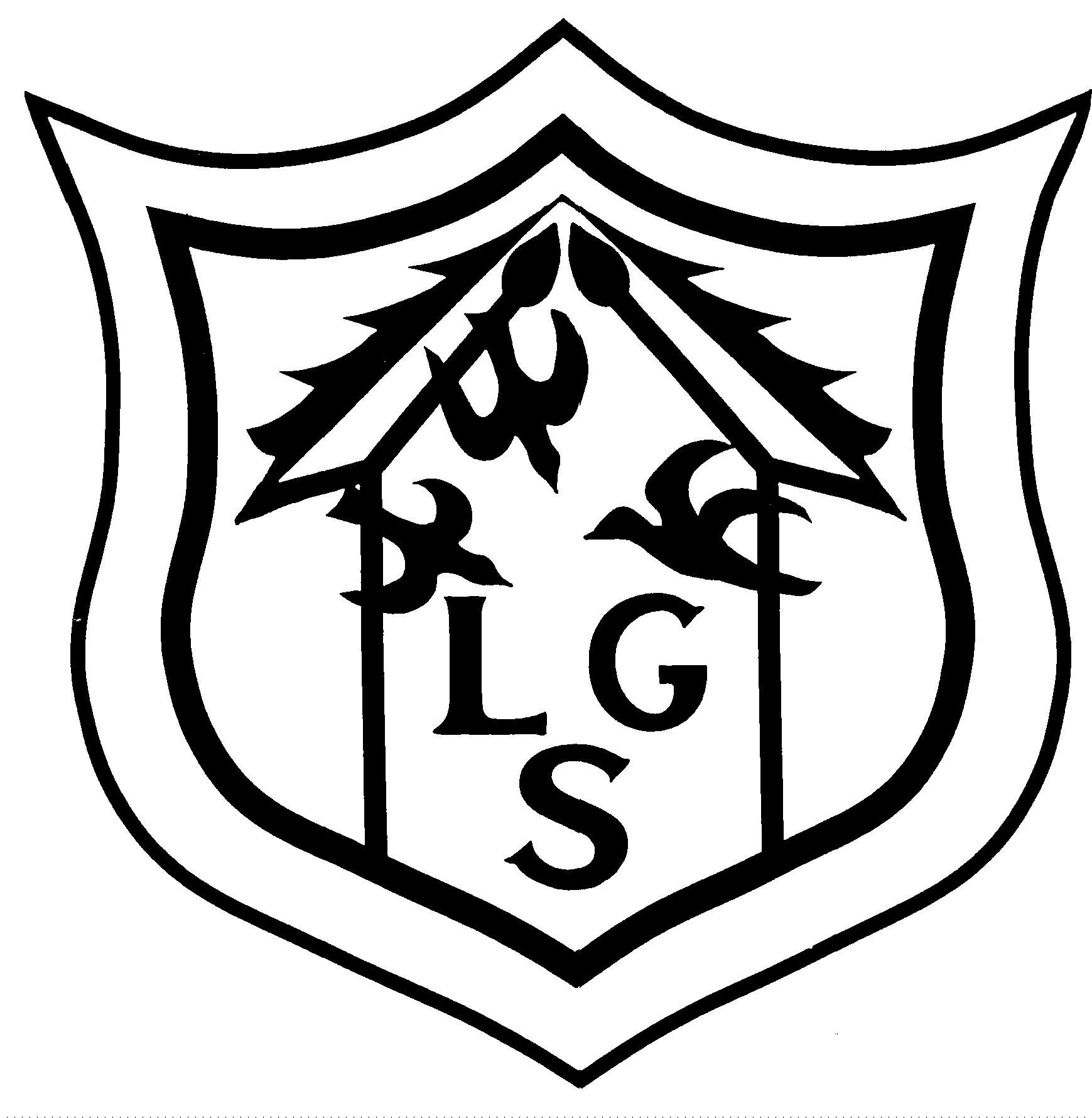 Langton Green Primary School